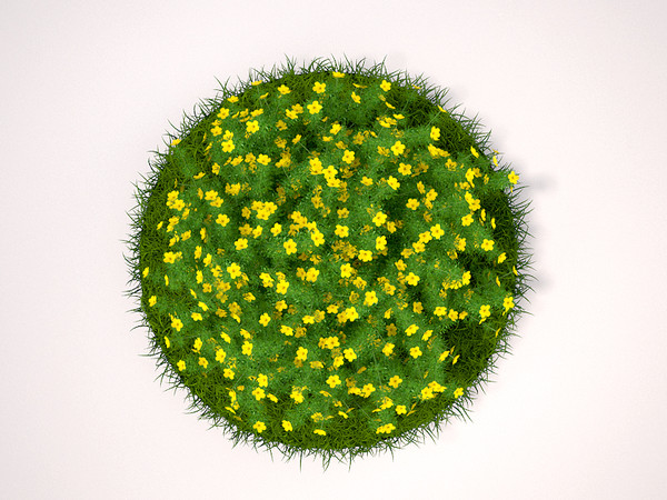 plant flowers 3d 3ds - Goldfinger Potentilla... by MasterPixel